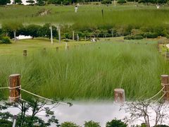 -红花山公园