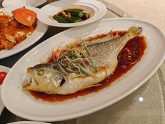 -建滔诺富特酒店-悦餐厅