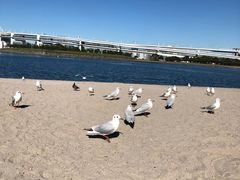-台场海滨公园船码头