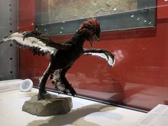 -国家自然博物馆