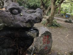 -海口火山口国家地质公园