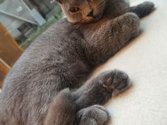 -猫咪派对(江南西店)