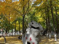 -山东大学(趵突泉校区)