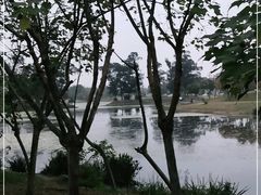 -两河城市森林公园