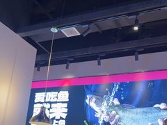 -老板恋上鱼(高新万达店)