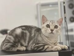 -comecome来吧宠物(奥克斯中心店)