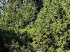 -长辛店二七公园