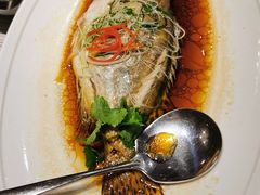 清蒸桂鱼-南景饭店(万家丽路店)