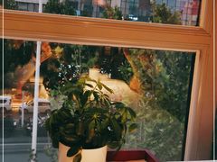 -大鸭梨烤鸭(枣园店)