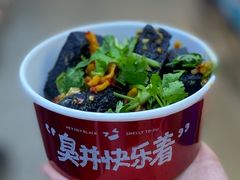 -黑色经典臭豆腐·湖南特产(步行街店)
