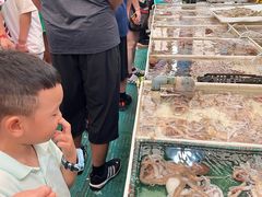 -毕家疃综合市场