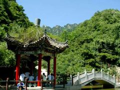 -王顺山国家森林公园