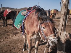 -塞罕坝国家级自然保护区