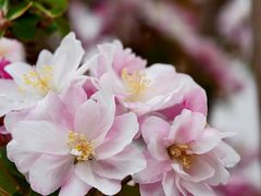 -青州市云门山风景区