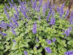 -白鹭湾湿地公园