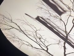 -鹤祥宫·影院足道·SPA连锁(鸿尊布吉店)