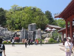 -塔云山