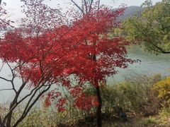 -长广溪湿地公园