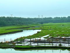 -溱湖国家湿地公园