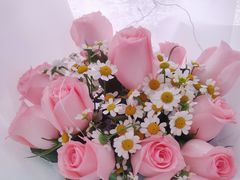 -漫生活烘焙·无糖蛋糕·动物奶油