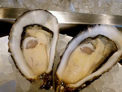 法国生蚝-Oyster Talks 四度蚝法餐厅