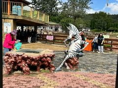 -大连森林动物园