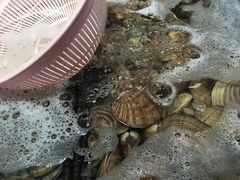 -盒马鲜生(红莲店)