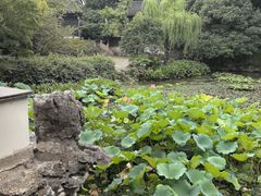 -惠山古镇·寄畅园