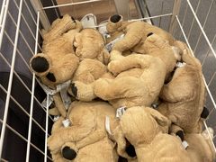 -宜家家居(高新商场店)