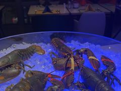 -马哥孛罗酒店·SAVVY全日餐厅