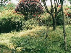 -千龙湖生态旅游度假区