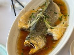 -骏莱海鲜鱼港(五角场店)