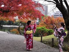 -水前寺成趣园