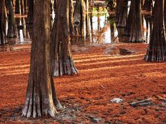 -星湖旅游景区七星岩