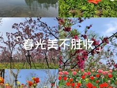 -曹杨影城(曹杨店)