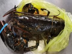 -宝燕海货工场(长江国际店)