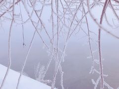 -雾凇岛