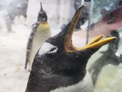 -沈阳海洋探索中心