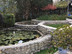 -活水公园