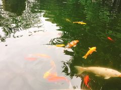 -温江公园