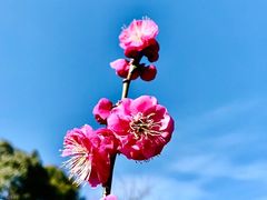 -上海吴淞炮台湾国家湿地公园