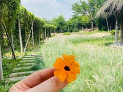 -厦门园林博览苑