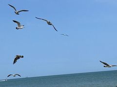 -那香海钻石沙滩浴场