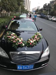 -蚂蚁婚车