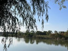 -东湖落雁景区
