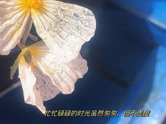 -丽江泸沽湖景区