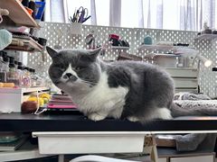 -不作·手工银饰DIY(西红门店)