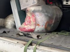 -蚂蚁搬家成都打包搬运公司
