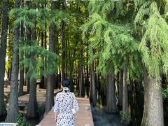 -东湖落雁景区