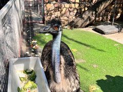 -金庭庄园酒店-停车场